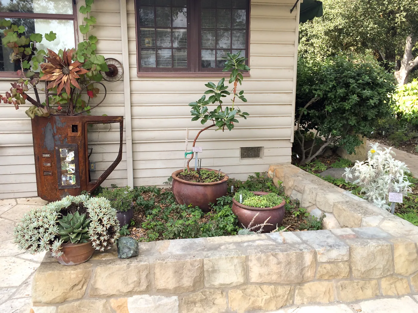 Home Demo Garden