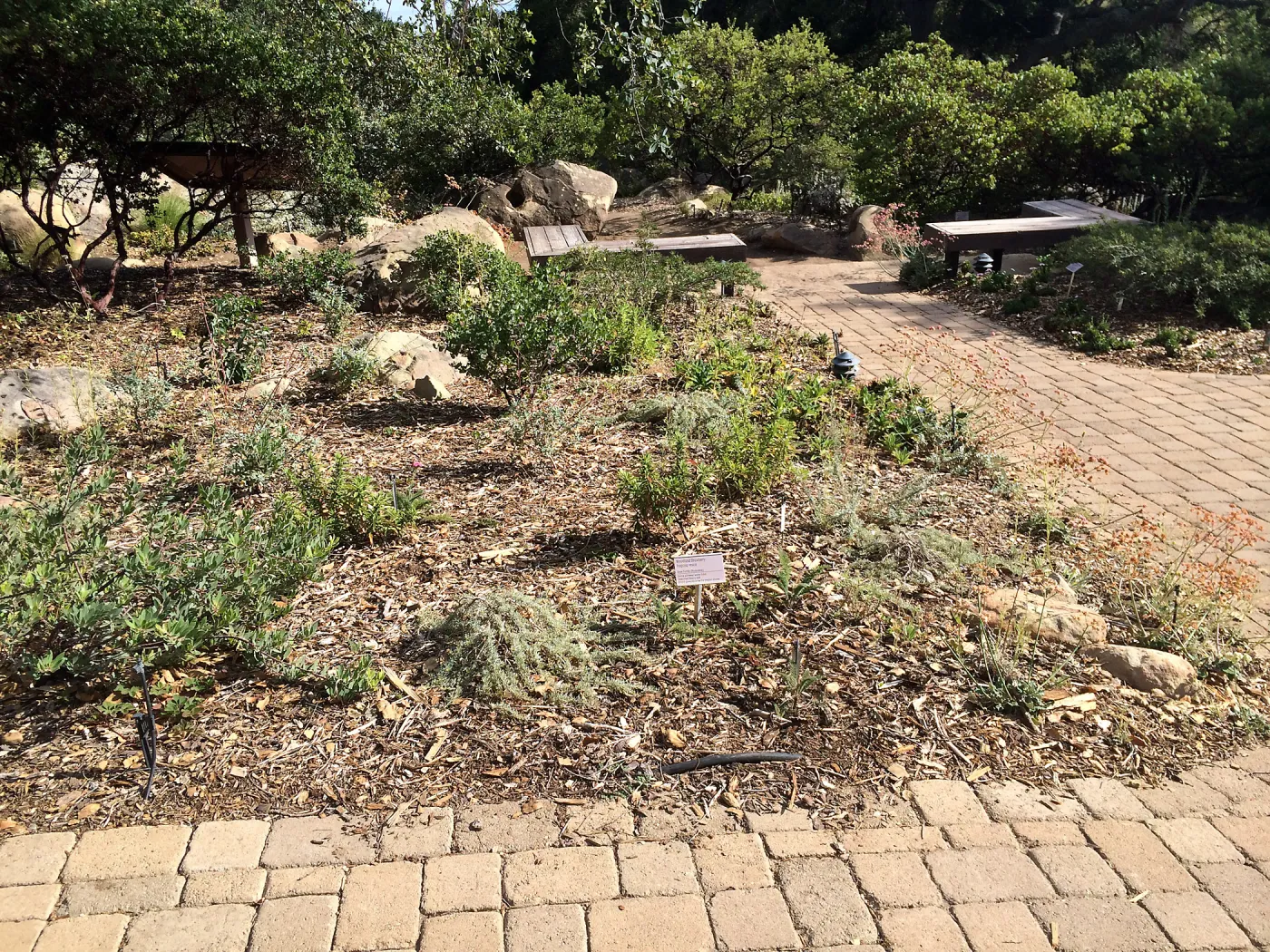 Home Demonstration Garden