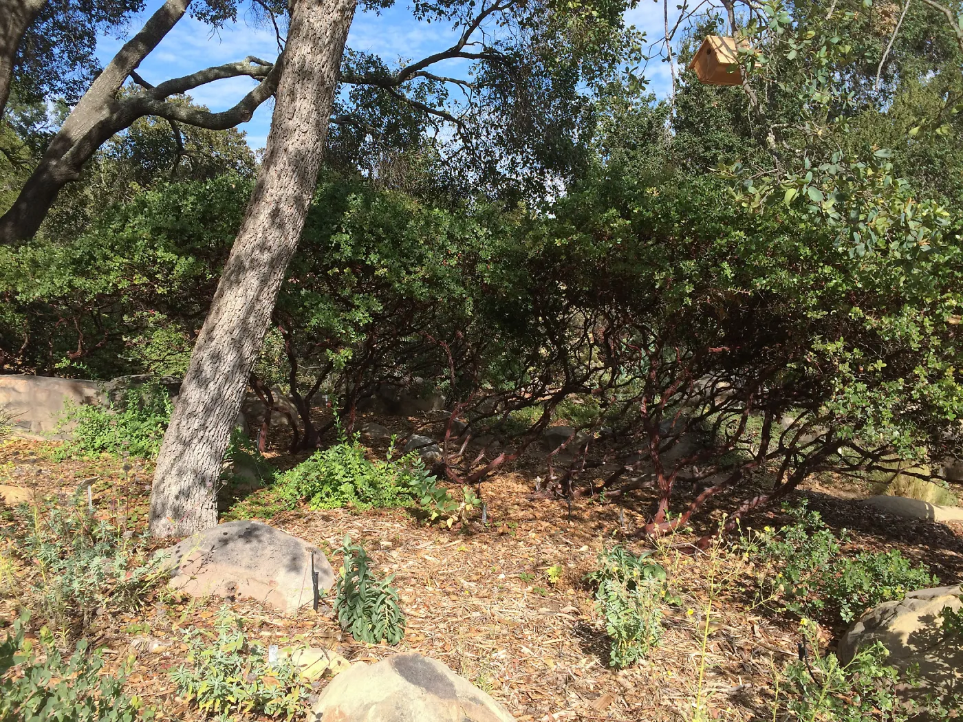 Home Demo Garden