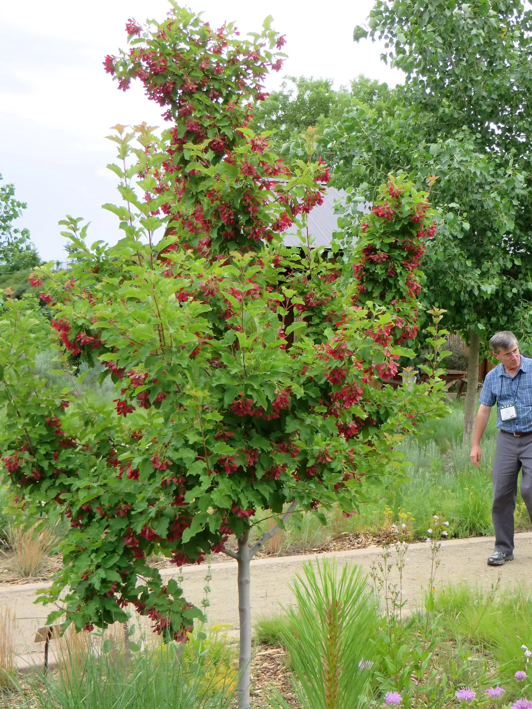 Denver Botanic Garden, APGA meeting