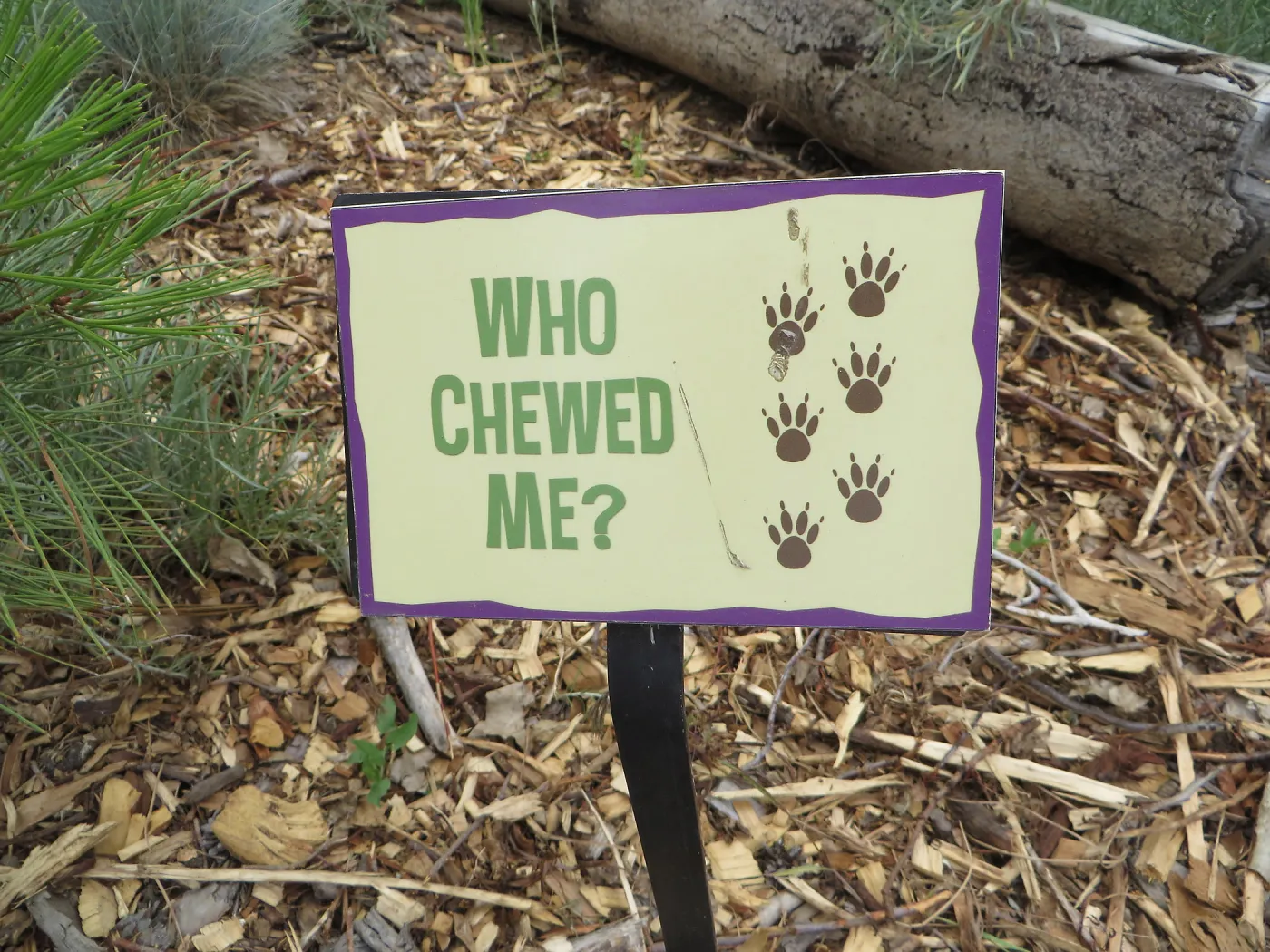 Denver Botanic Garden, Childrens Garden