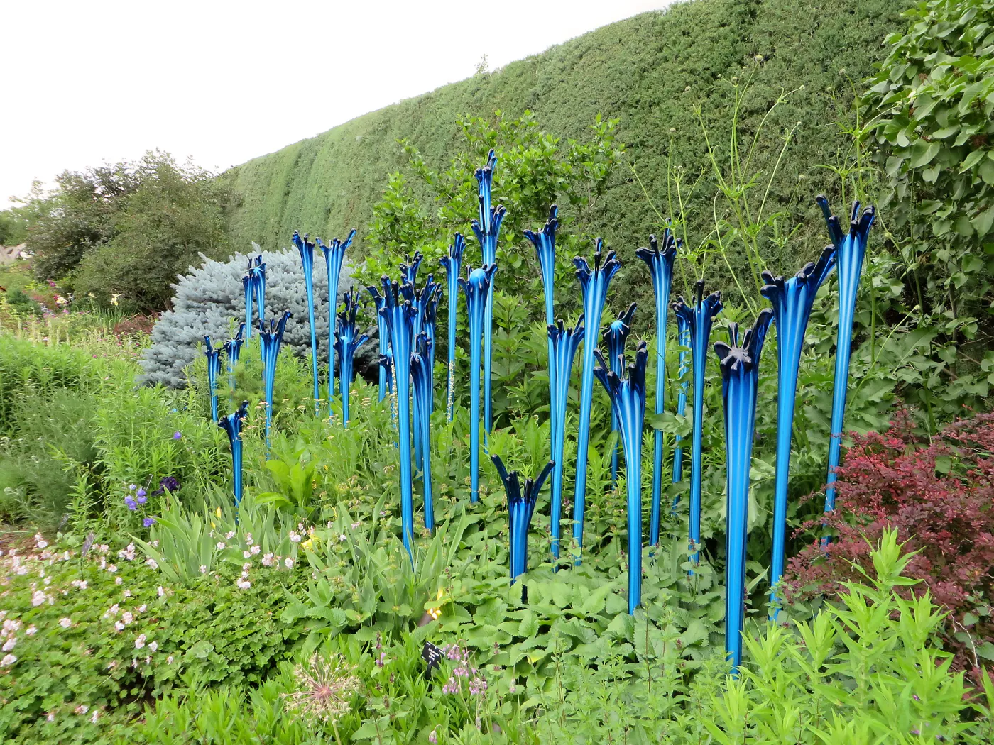 Denver Botanic Garden, APGA meeting. Dale Chihuly scuplture
