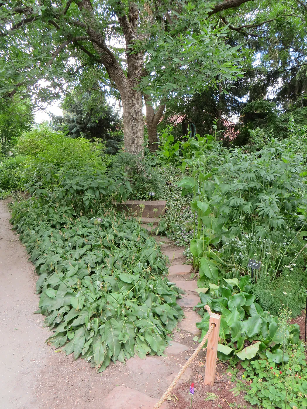 Denver Botanic Garden, APGA meeting