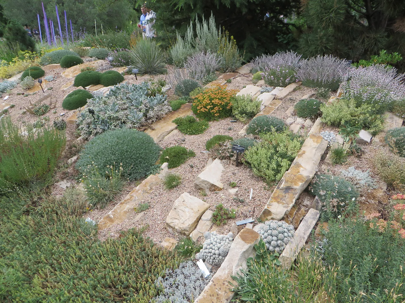 Denver Botanic Garden, APGA meeting. Dale Chihuly scuplture in Rock Alpine Garden