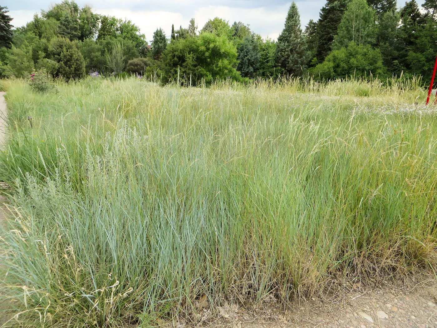 Denver Botanic Garden, APGA meeting