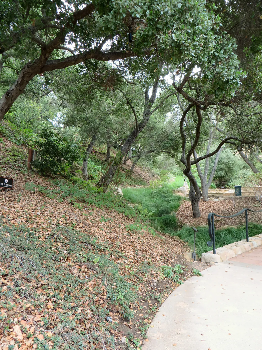 Santa Barbara County Bowl garden, designed by Susan van Atta