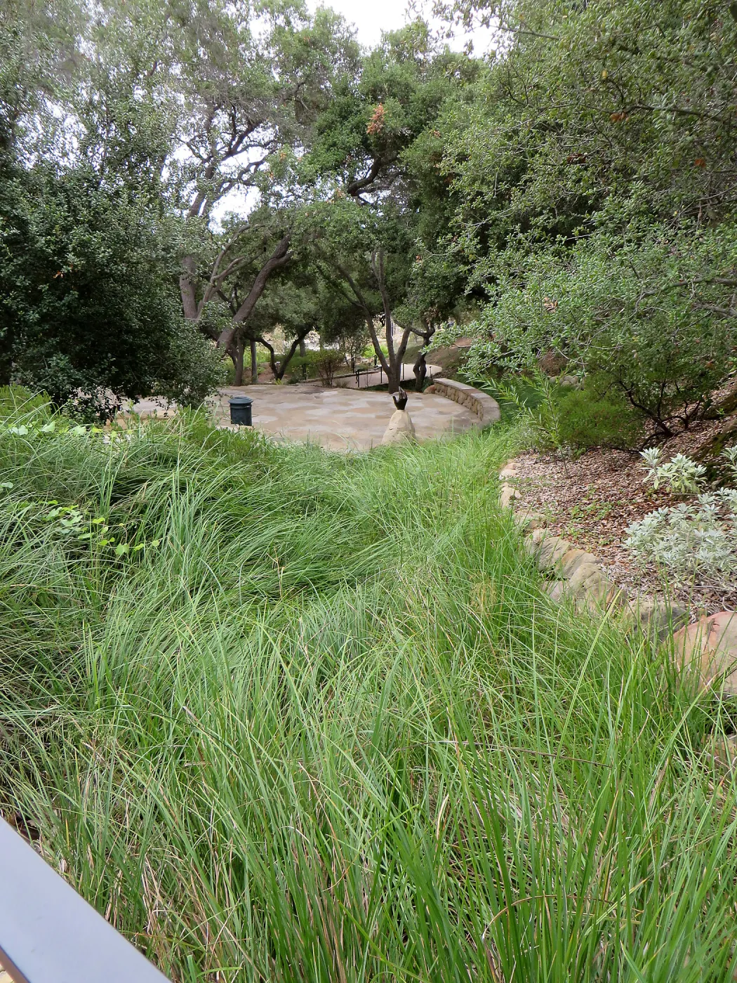 Santa Barbara County Bowl garden, designed by Susan van Atta