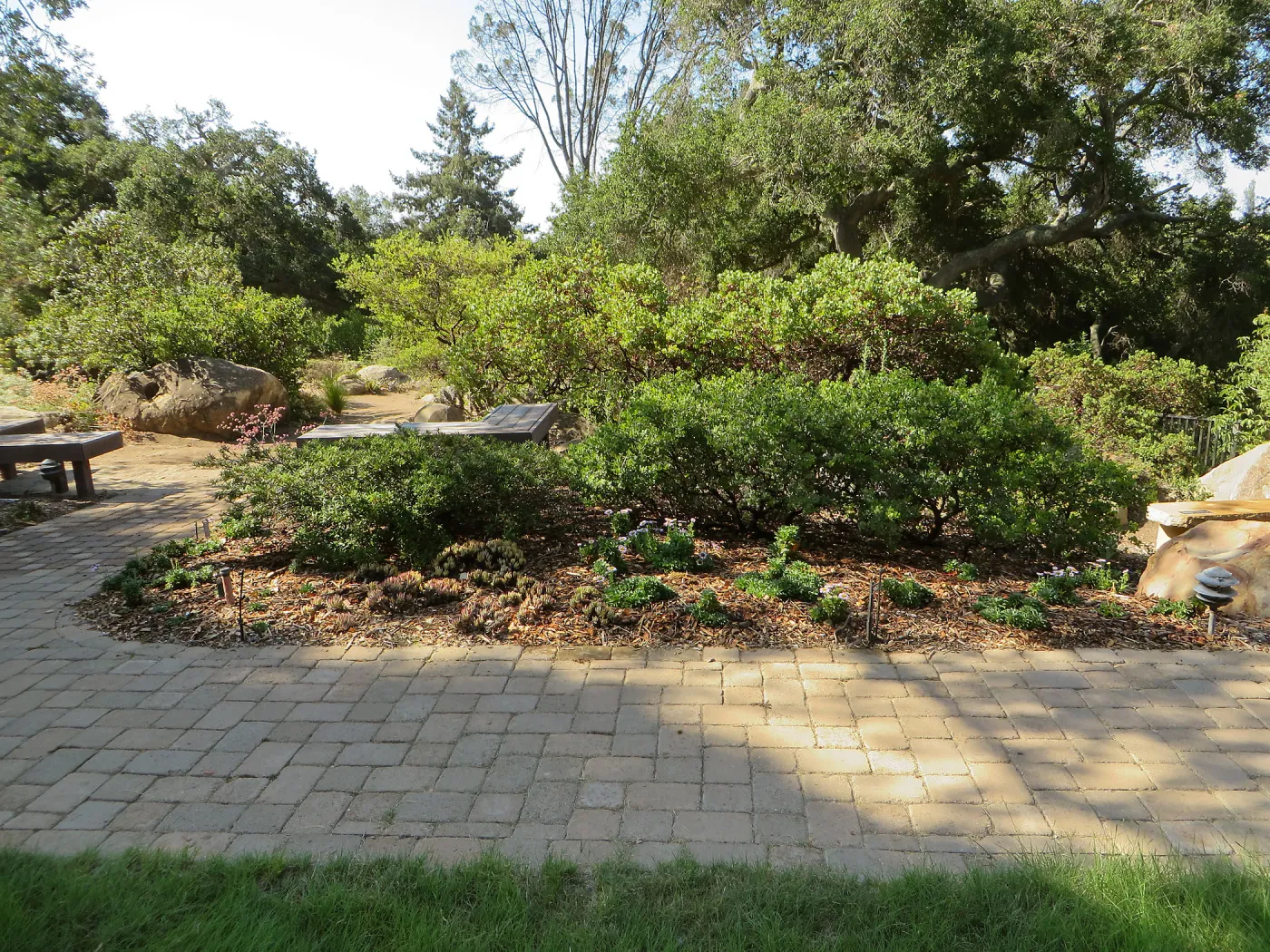 SBBG Home Demo Garden