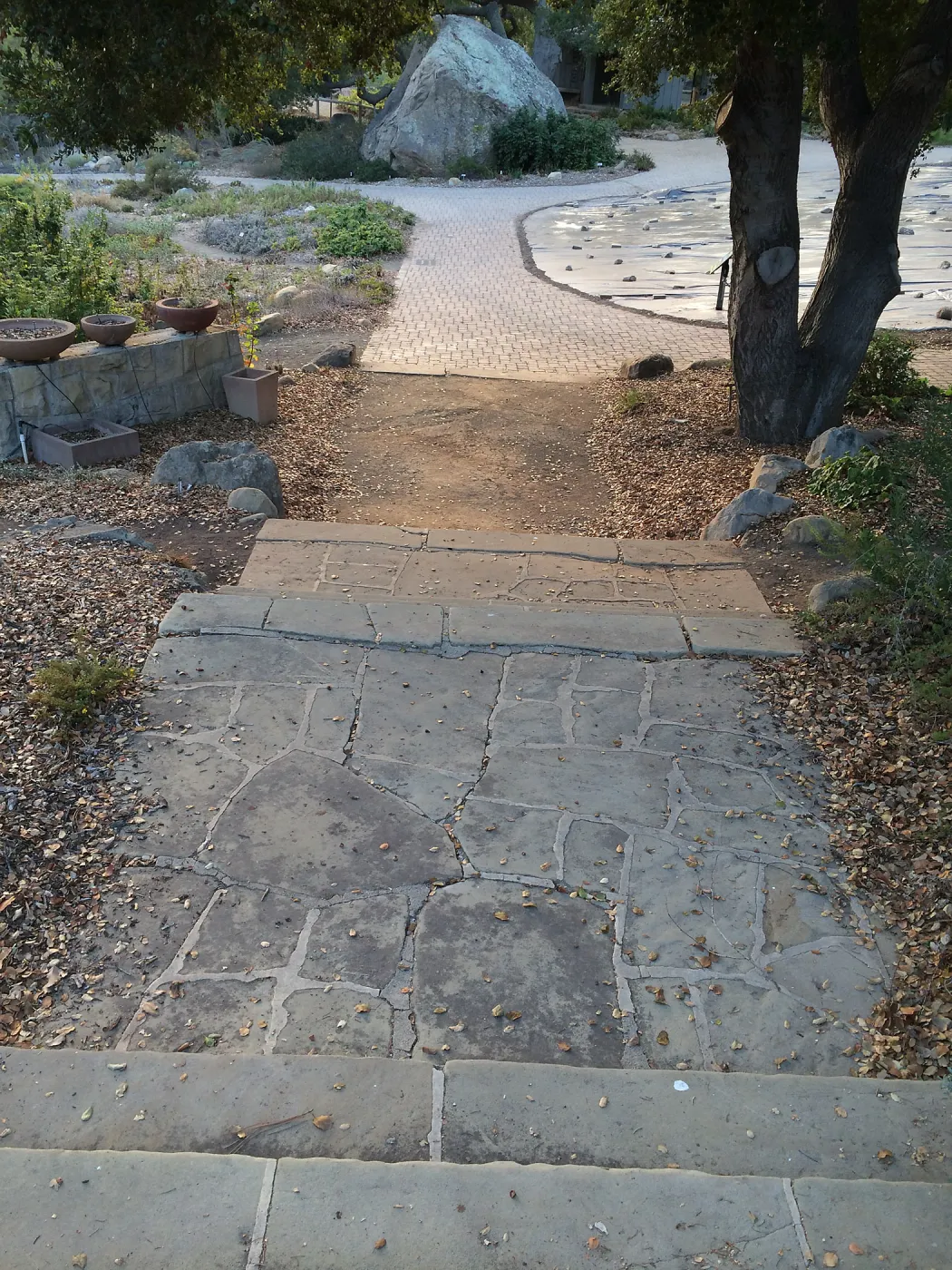 Looking back towards Lowert Meadow from original entrance gate steps