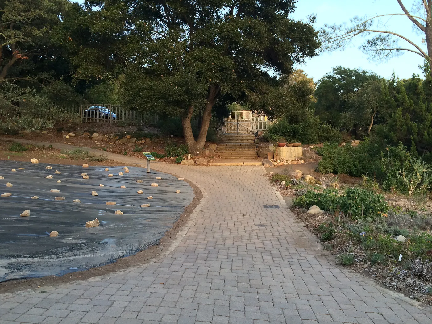 Path along lower meadow edge towards original entrance gate