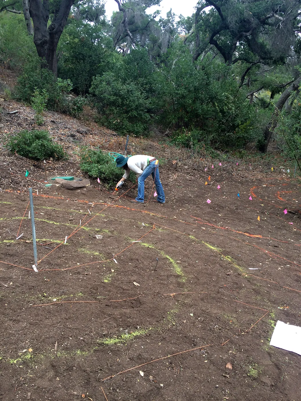 Betsy Lape working on the Maze