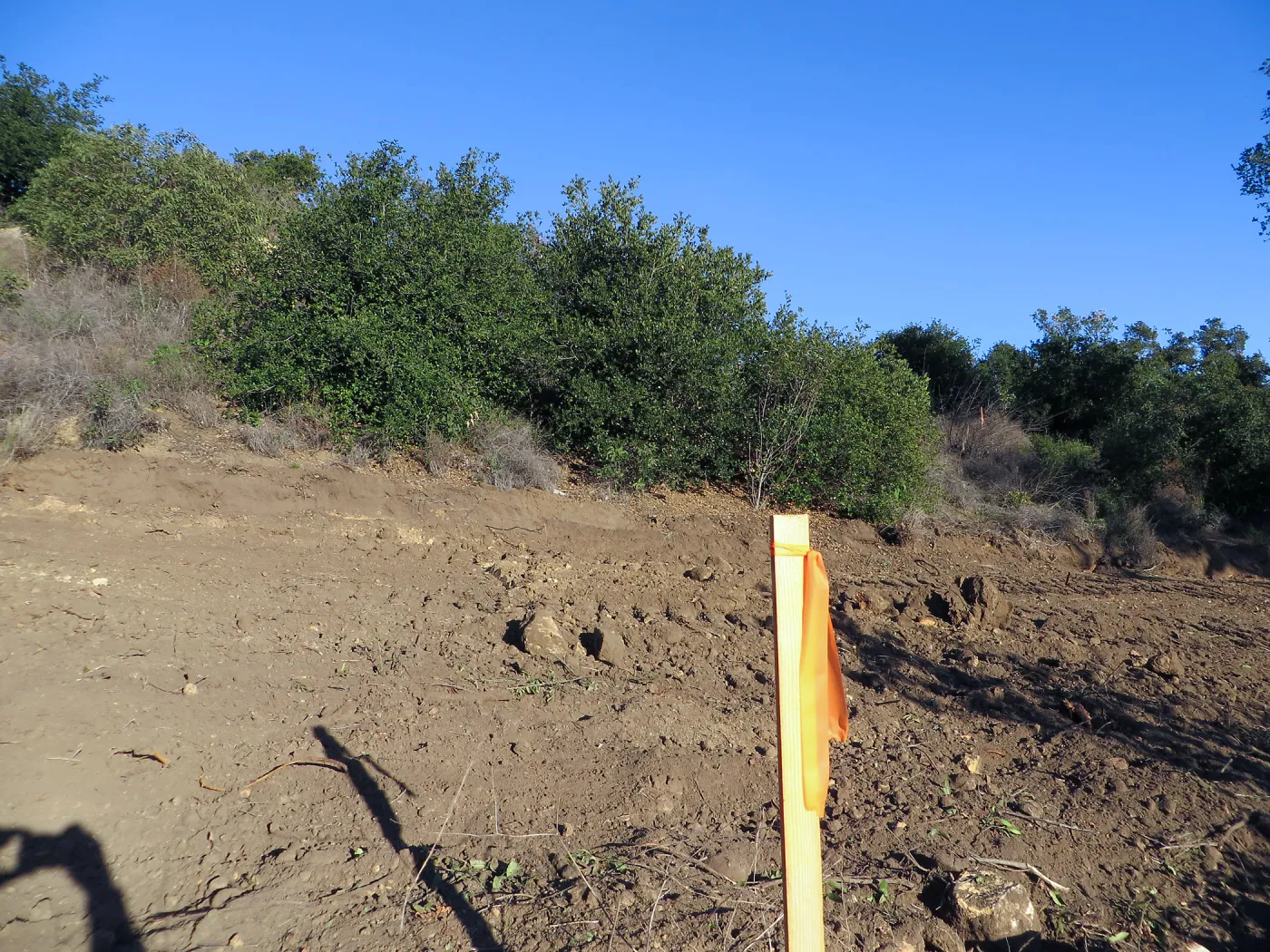 PCC construction, cart path