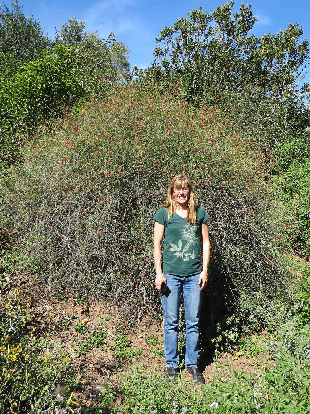 Anne McInerney, Gambelia Gran Canyon, Porter trail