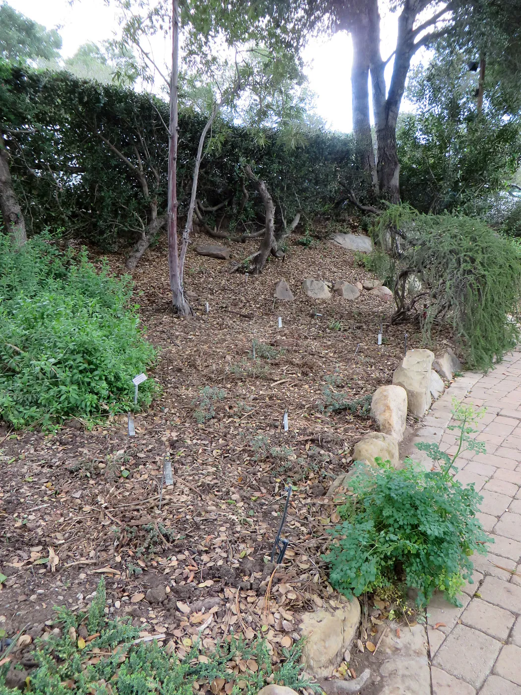 Arroyo after completion of sewer, below entrance