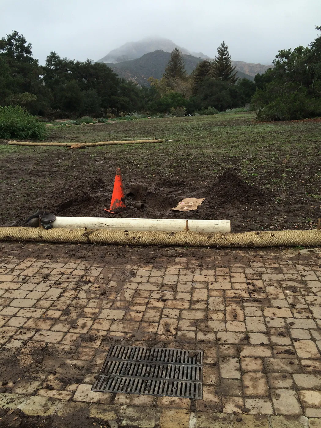 Clogged drain flooding in lower meadow