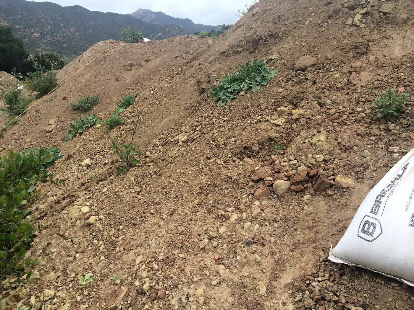 Soil pile, uppper parking lot