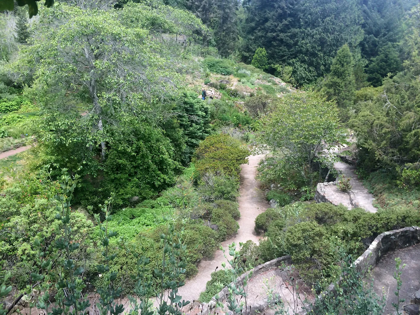 Tilden Regional Parks Botanic Garden