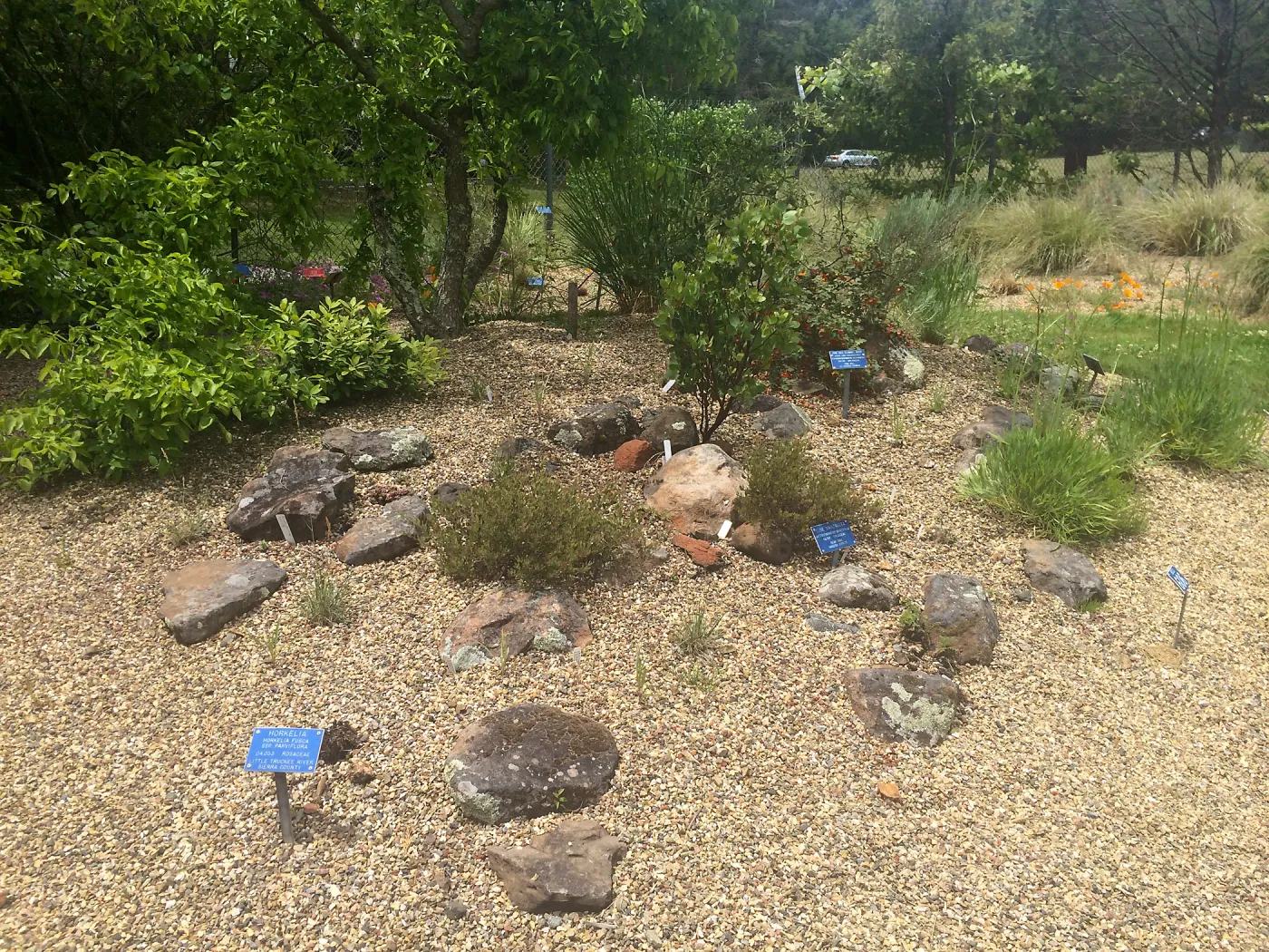 Tilden Regional Parks Botanic Garden