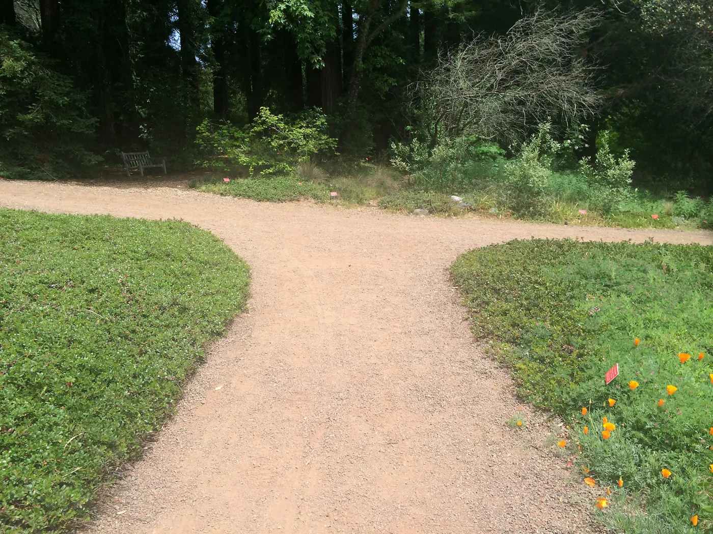 Tilden Regional Parks Botanic Garden