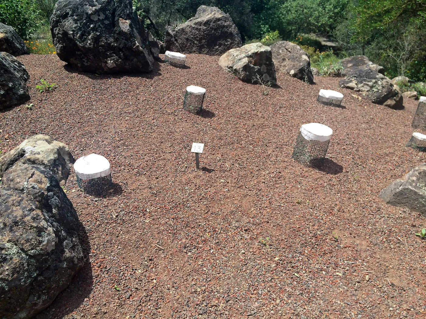 Plant cages at Tilden Regional Parks Botanic Garden