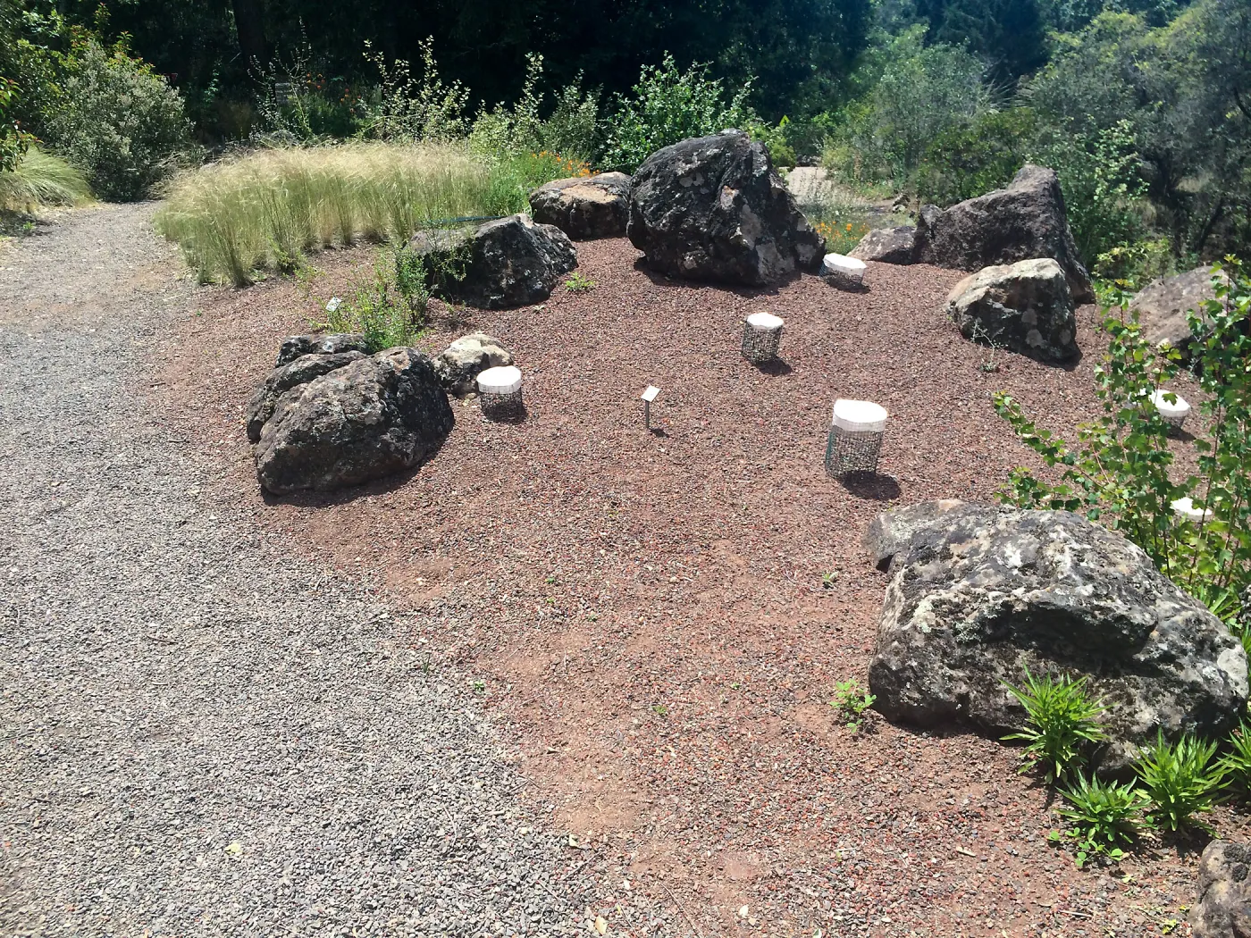 Plant cages at Tilden Regional Parks Botanic Garden