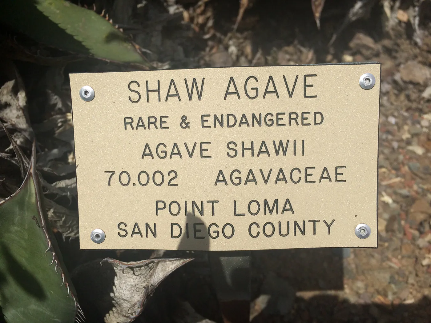 Plant signs at Tilden Regional Parks Botanic Garden