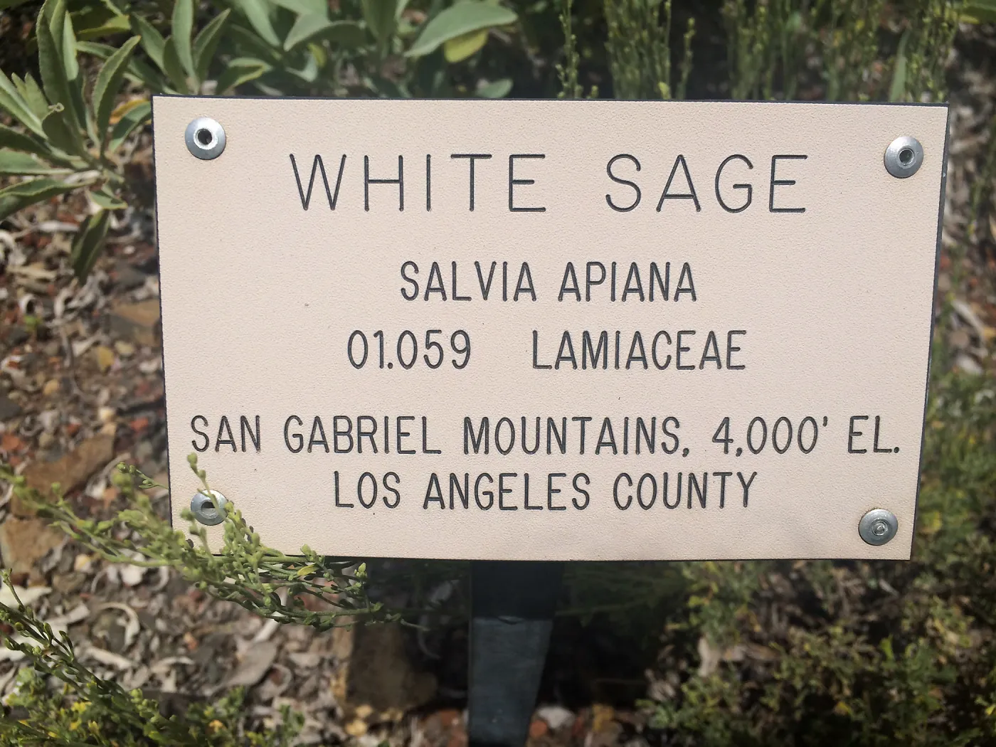Plant signs at Tilden Regional Parks Botanic Garden