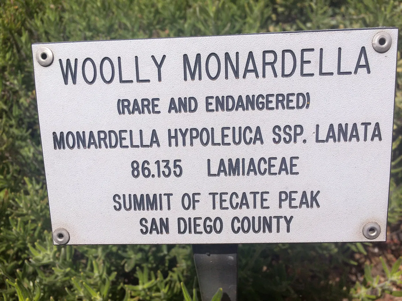 Plant signs at Tilden Regional Parks Botanic Garden