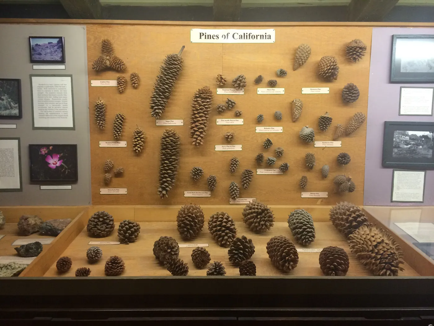 Exhibits at Tilden Regional Parks Botanic Garden