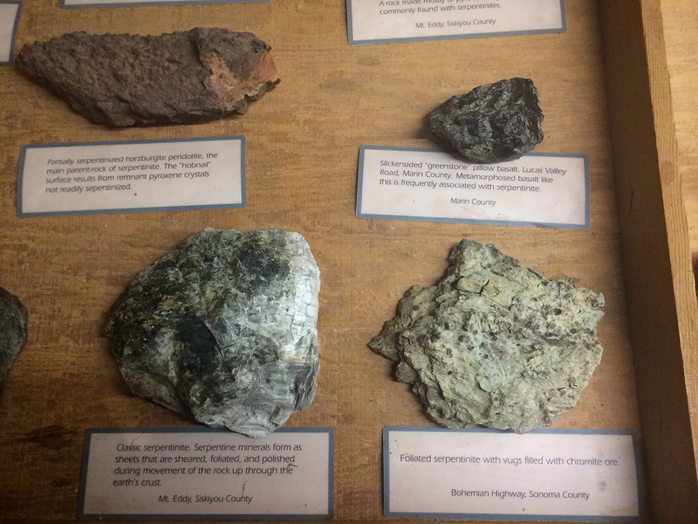 Exhibits at Tilden Regional Parks Botanic Garden