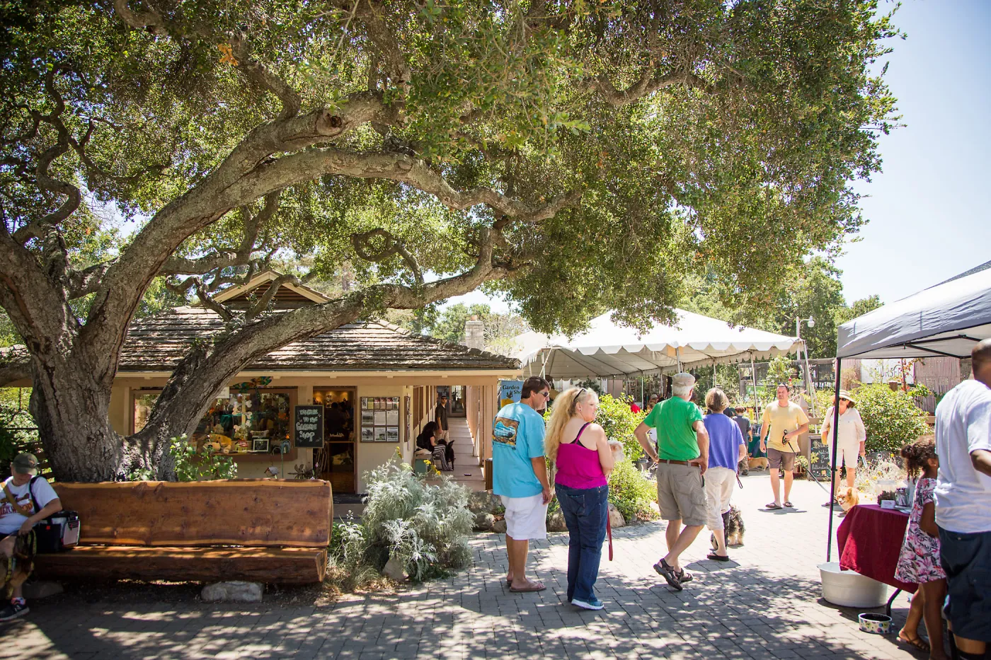 Trails â€˜n' Tails 2016