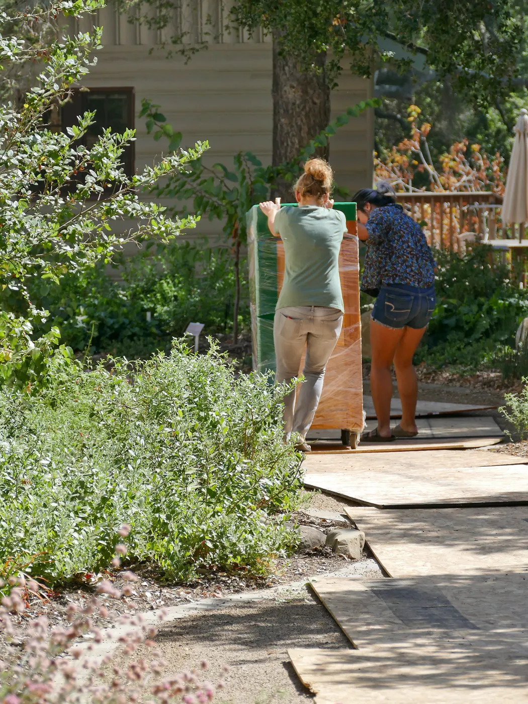 2016 Herbarium Collection Move