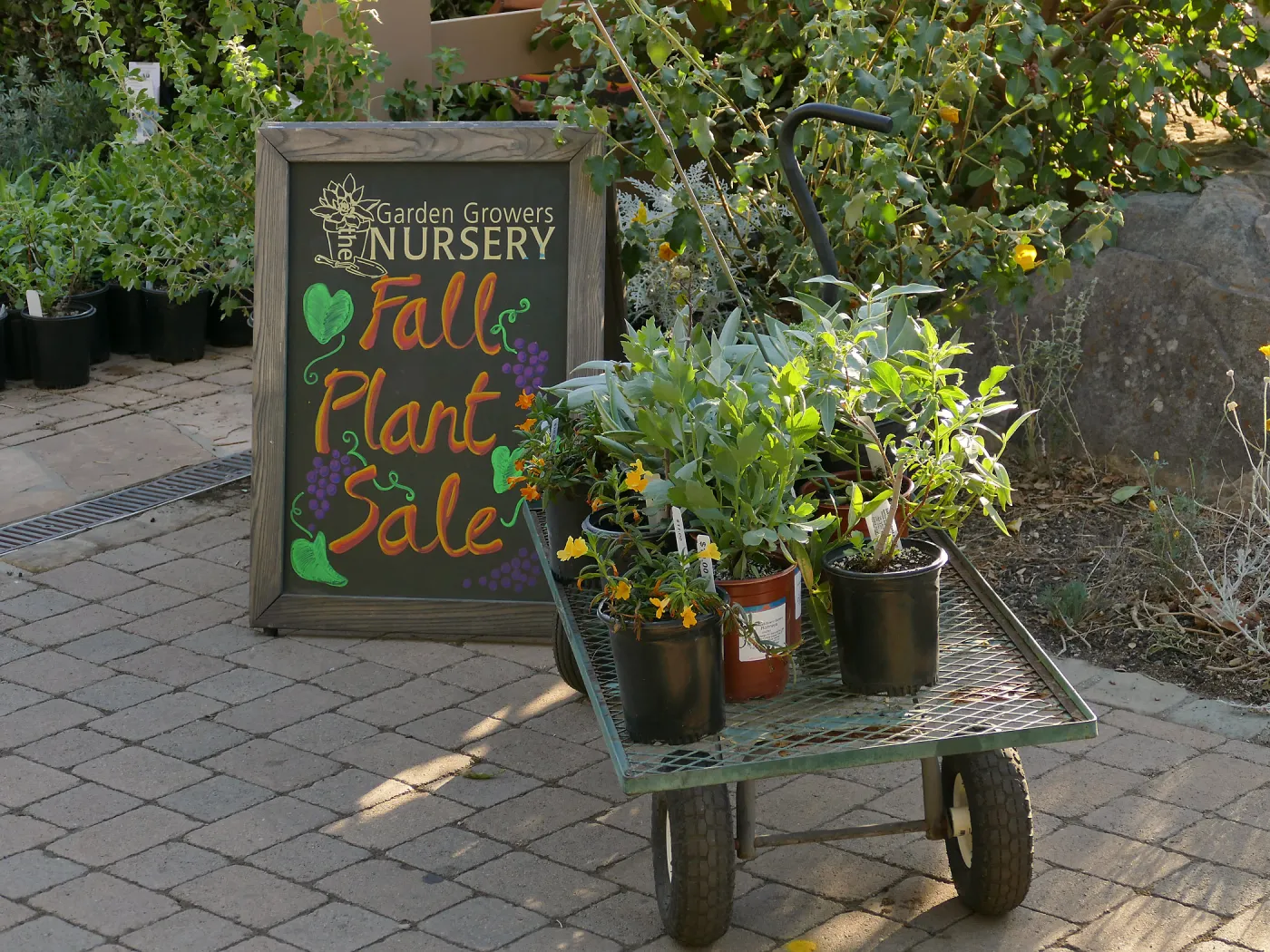2016 Fall Native Plant Sale Preview Party