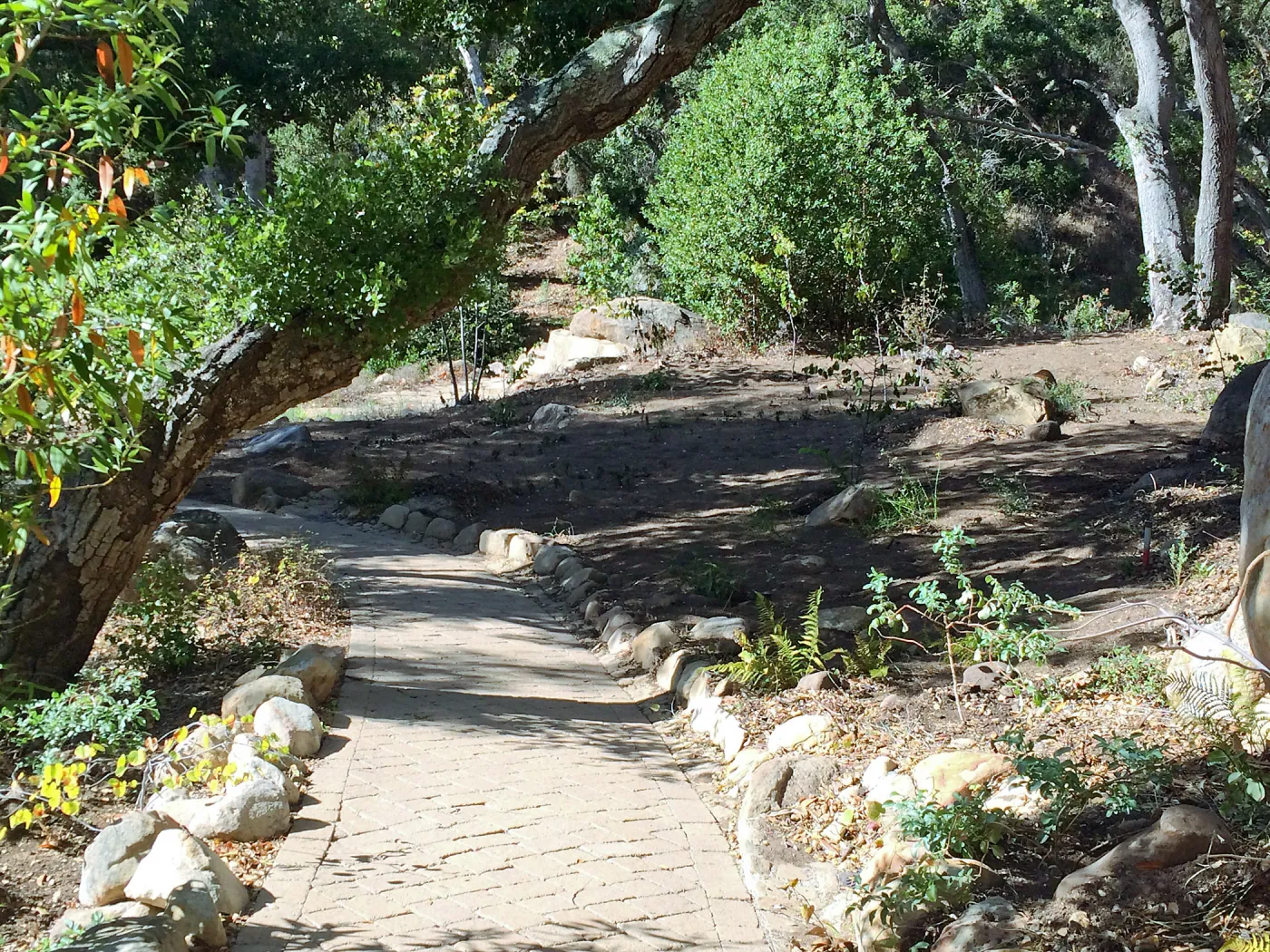 Installation of the Wooded Dell