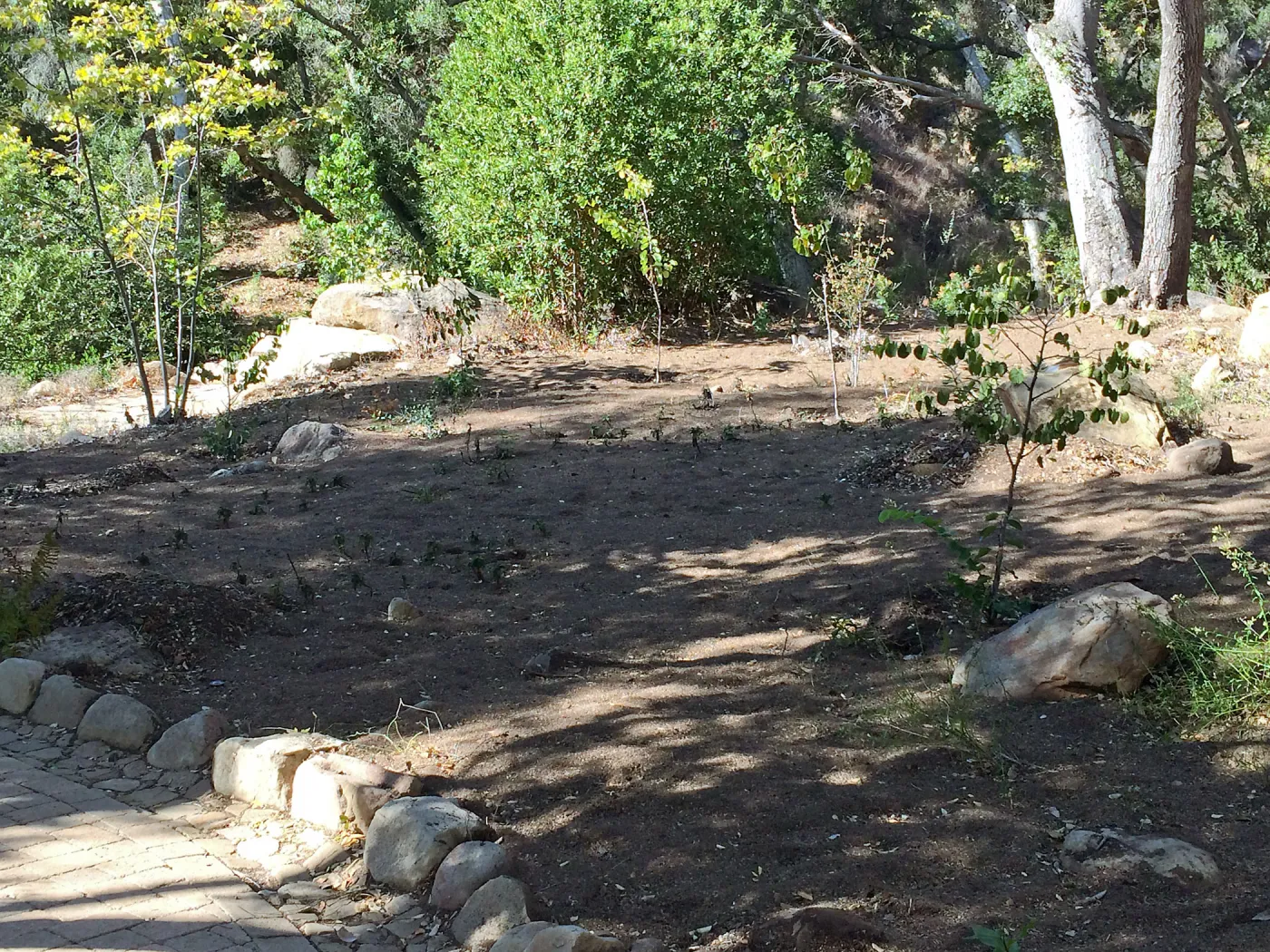Installation of the Wooded Dell