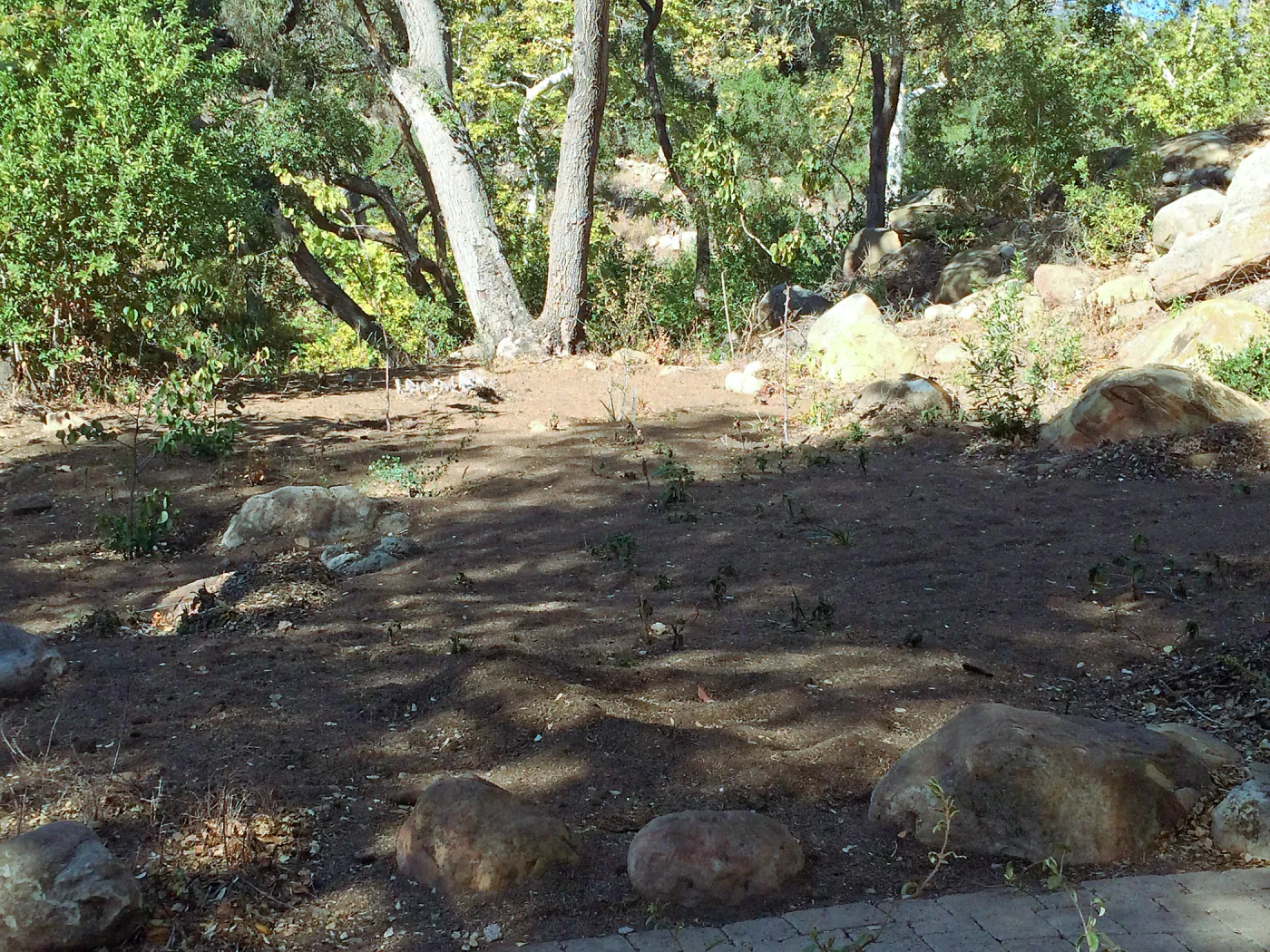 Installation of the Wooded Dell