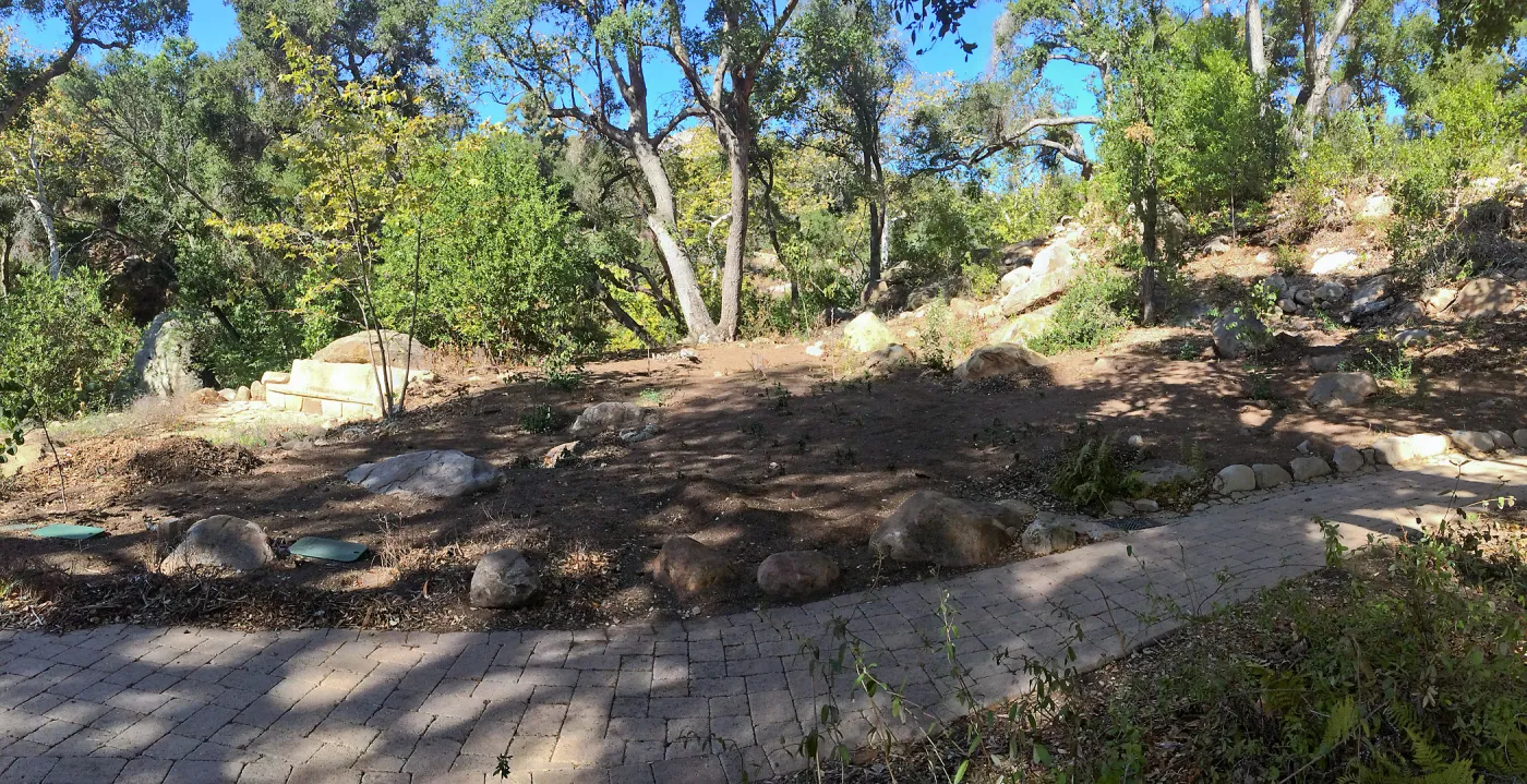 Installation of the Wooded Dell