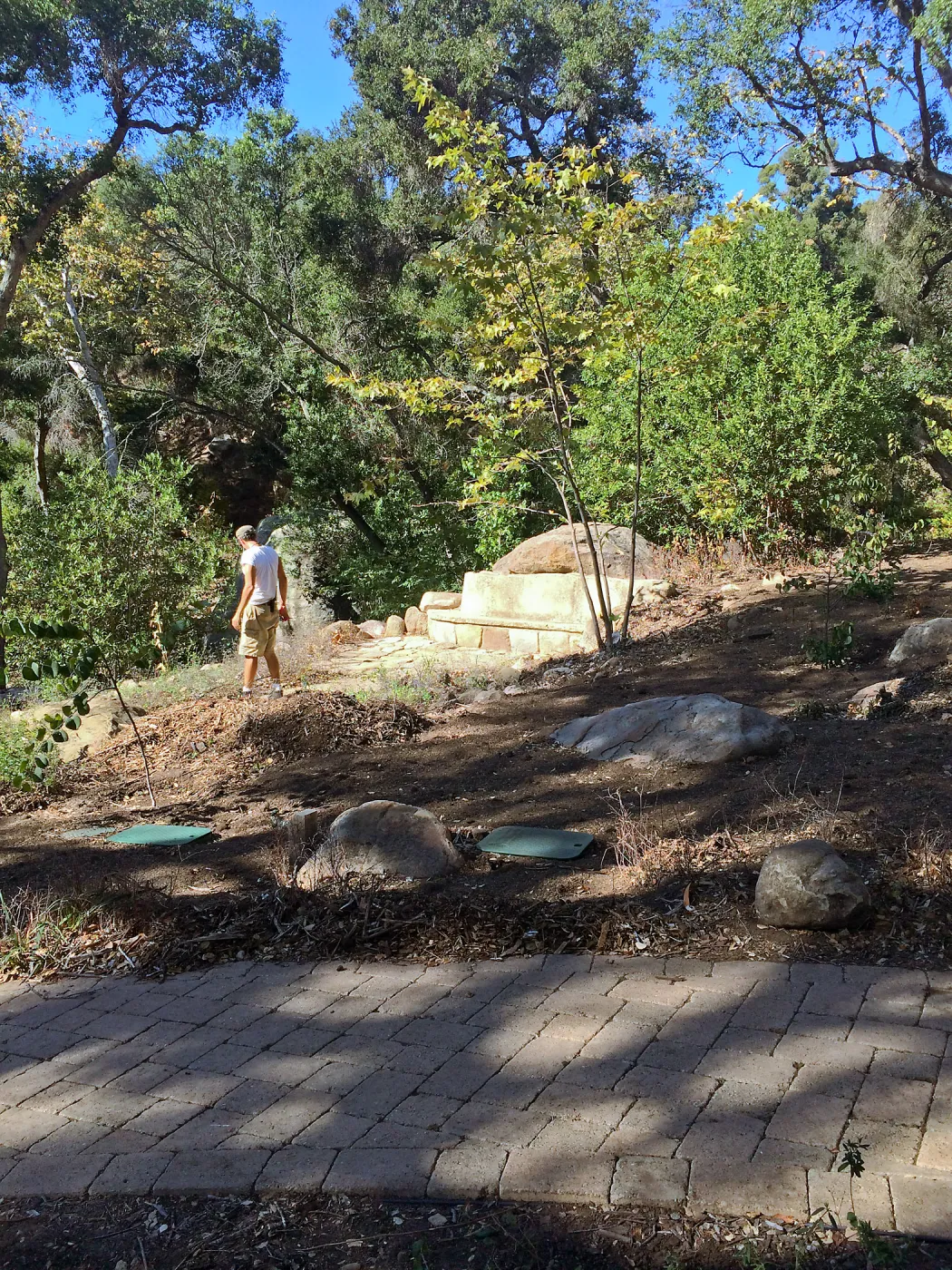 Installation of the Wooded Dell