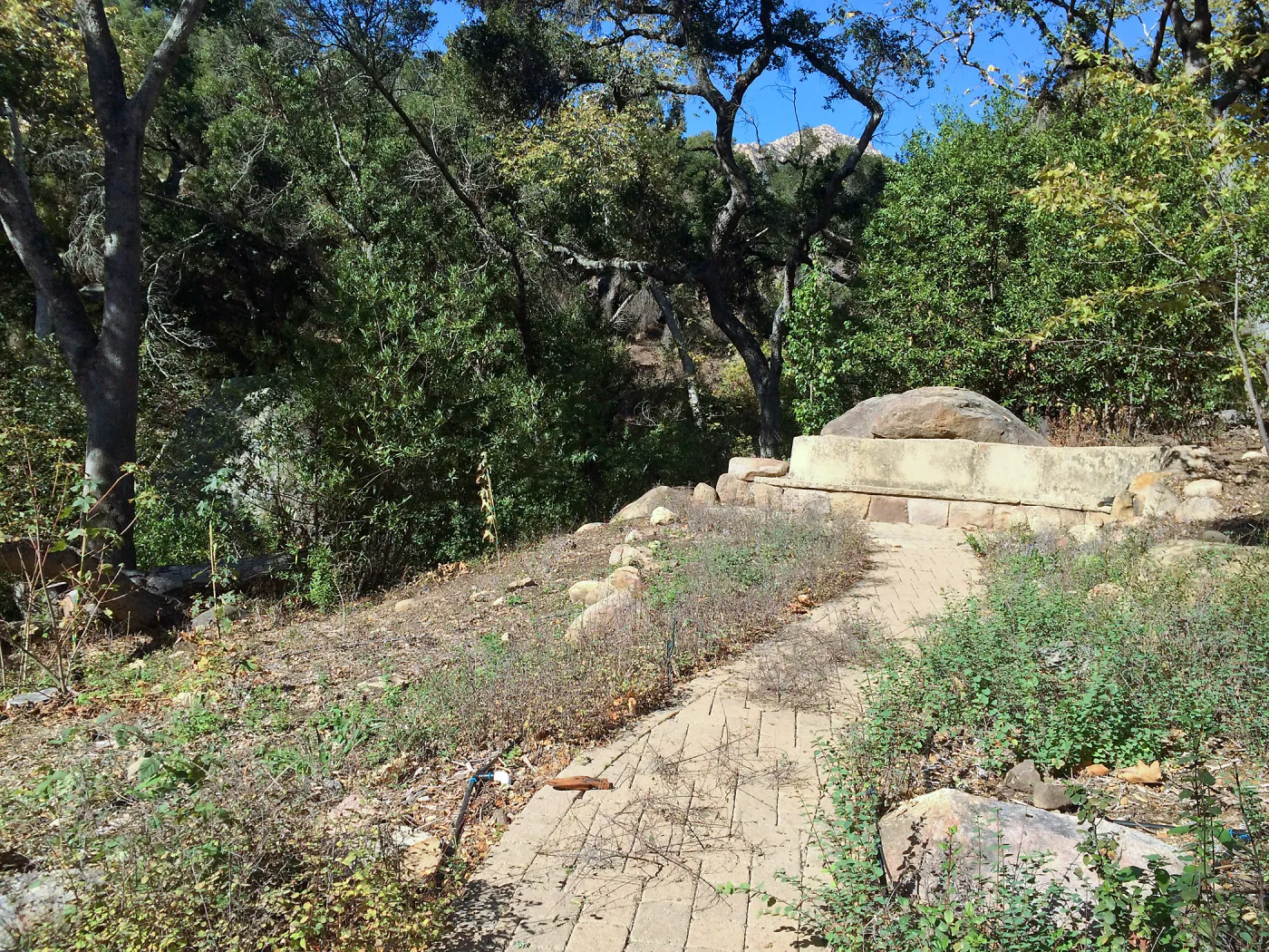 Installation of the Wooded Dell