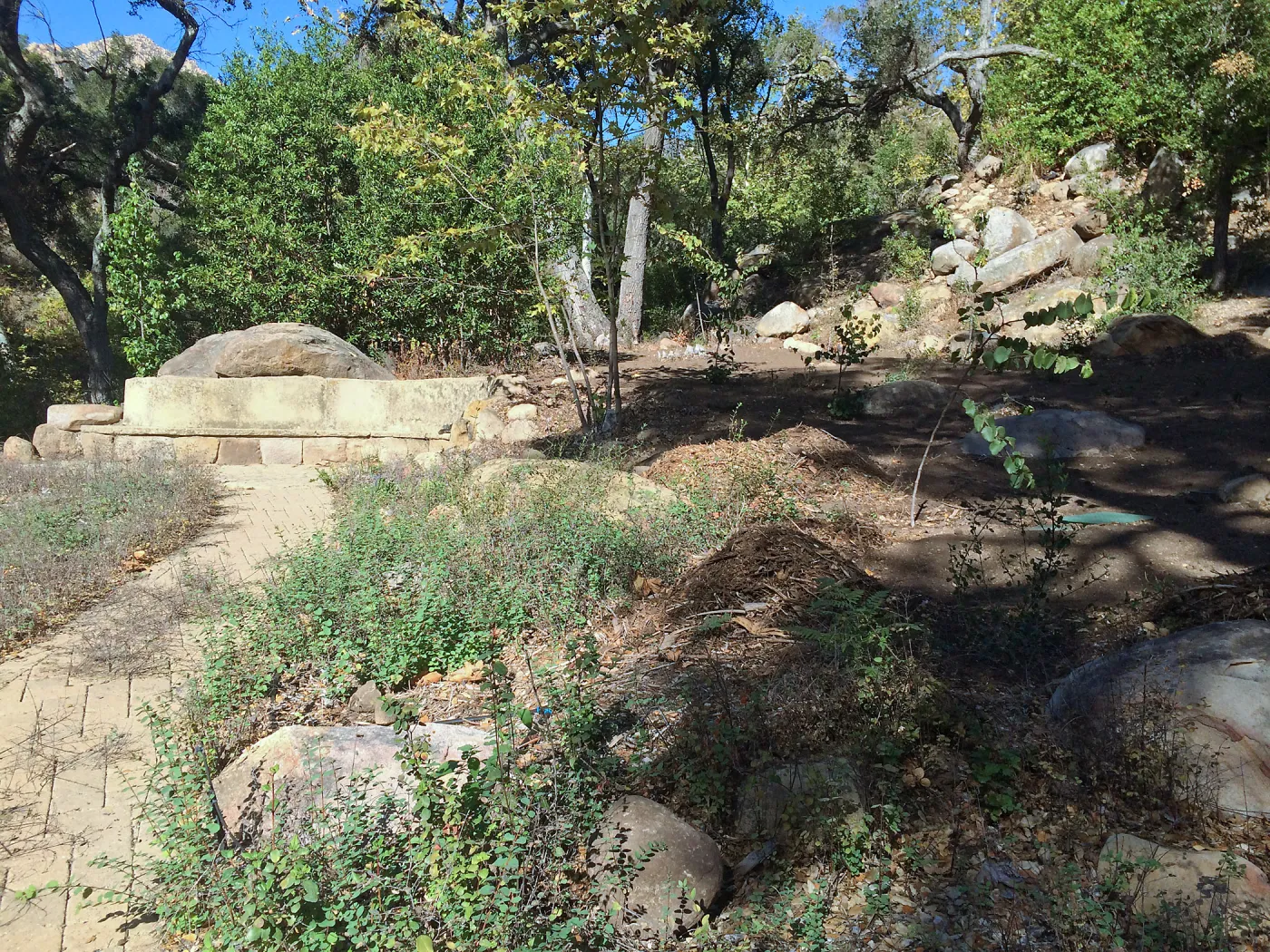 Installation of the Wooded Dell
