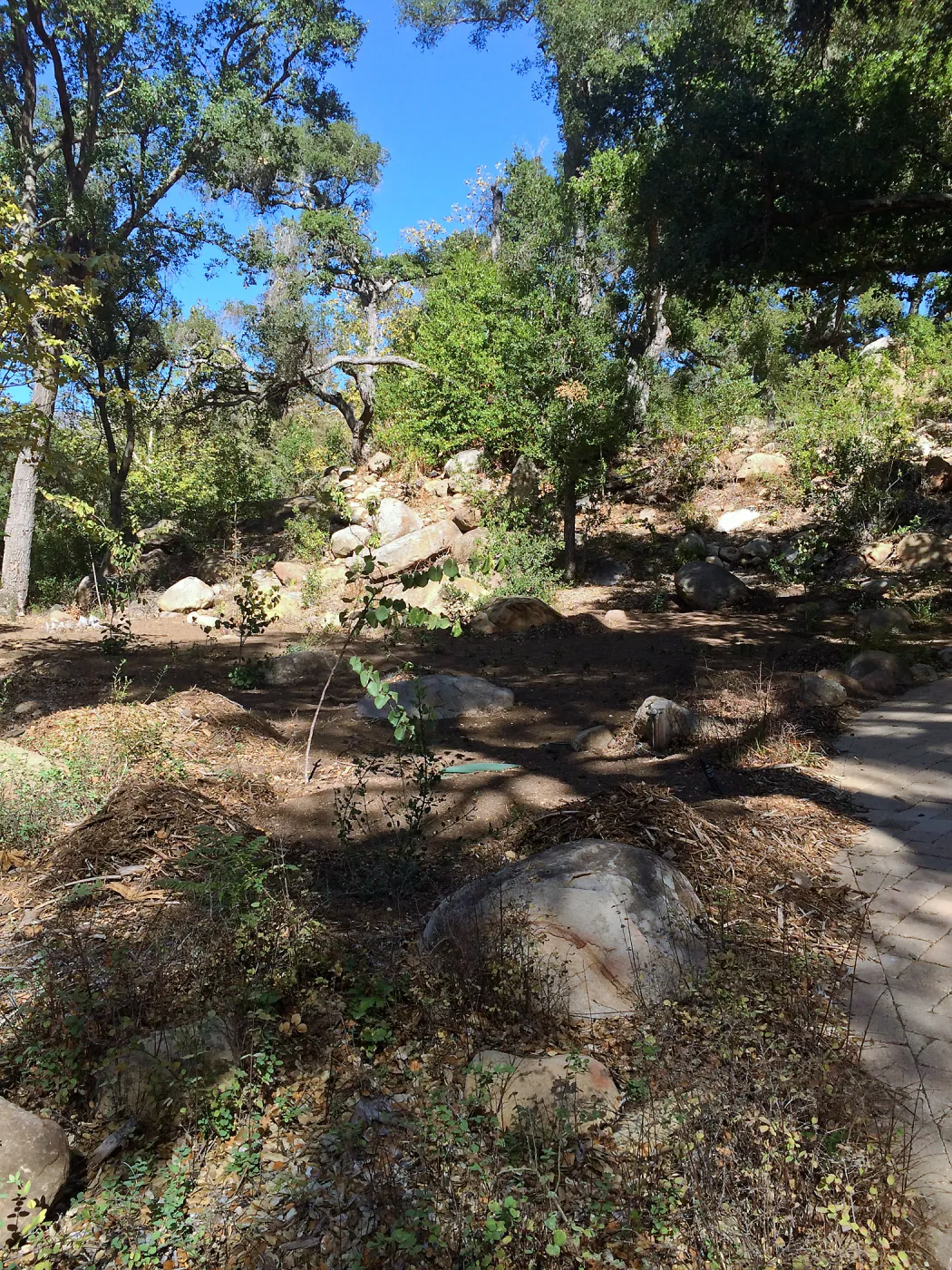 Installation of the Wooded Dell