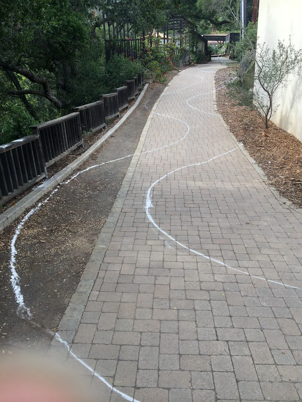 Laying out the path in the Home Demo Garden