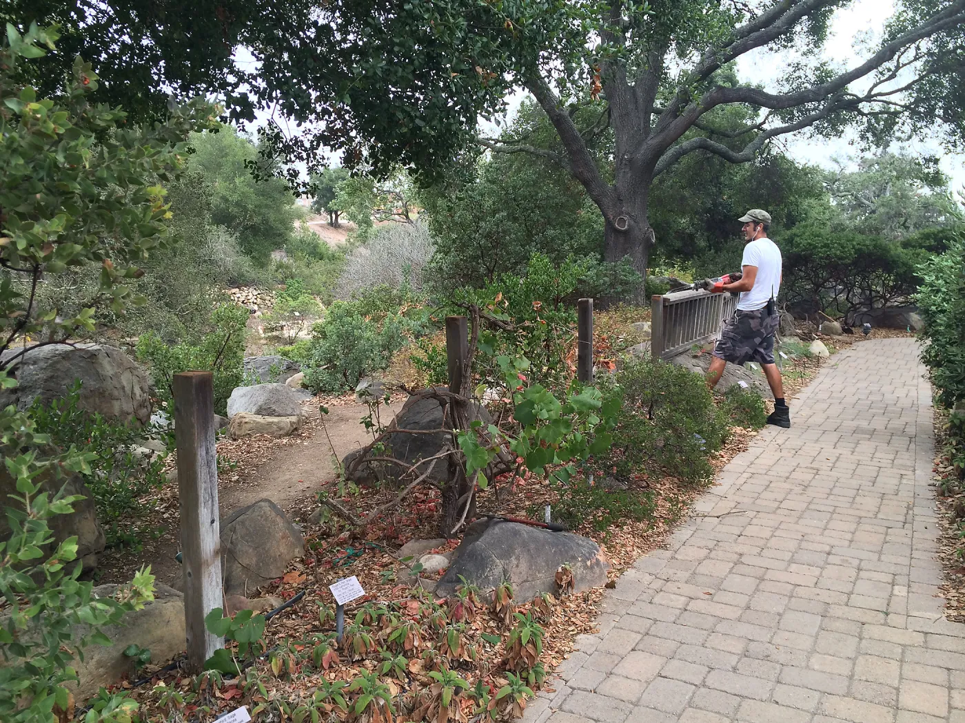 Adam Kuster removing fence at the Home Demo Garden