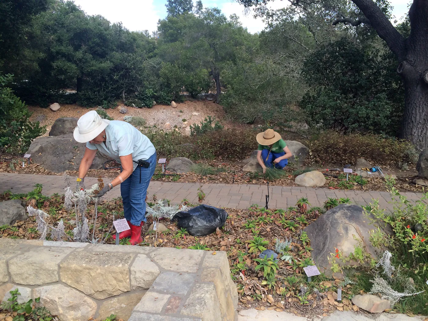 Bonnie Whitney and Aimee Ross working in the Home Demo Garden