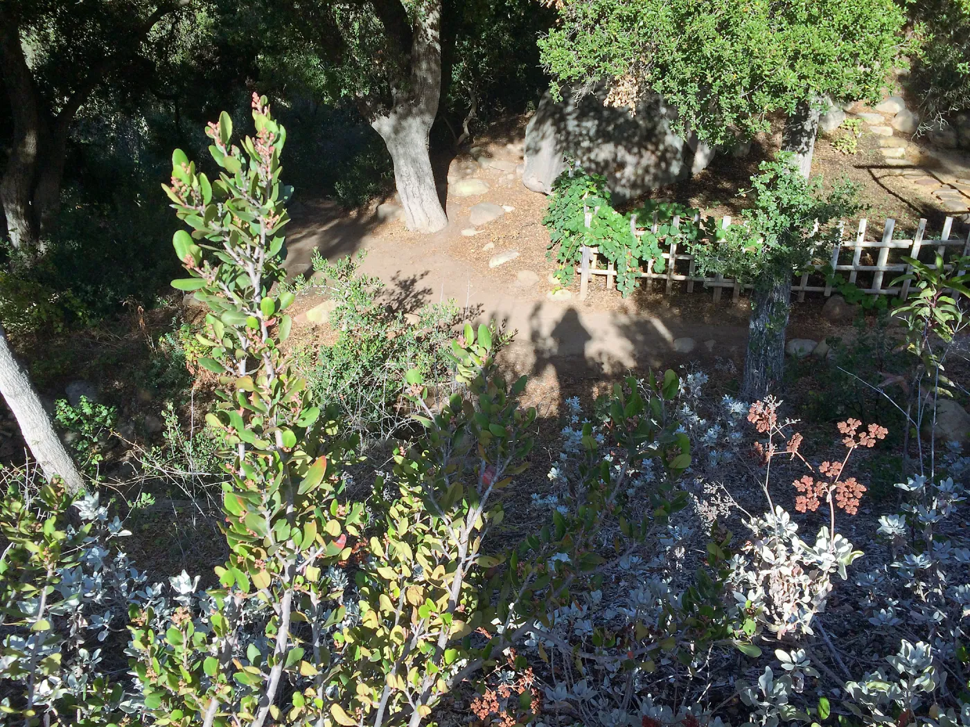 View to tea house from Mission Canyon Rd