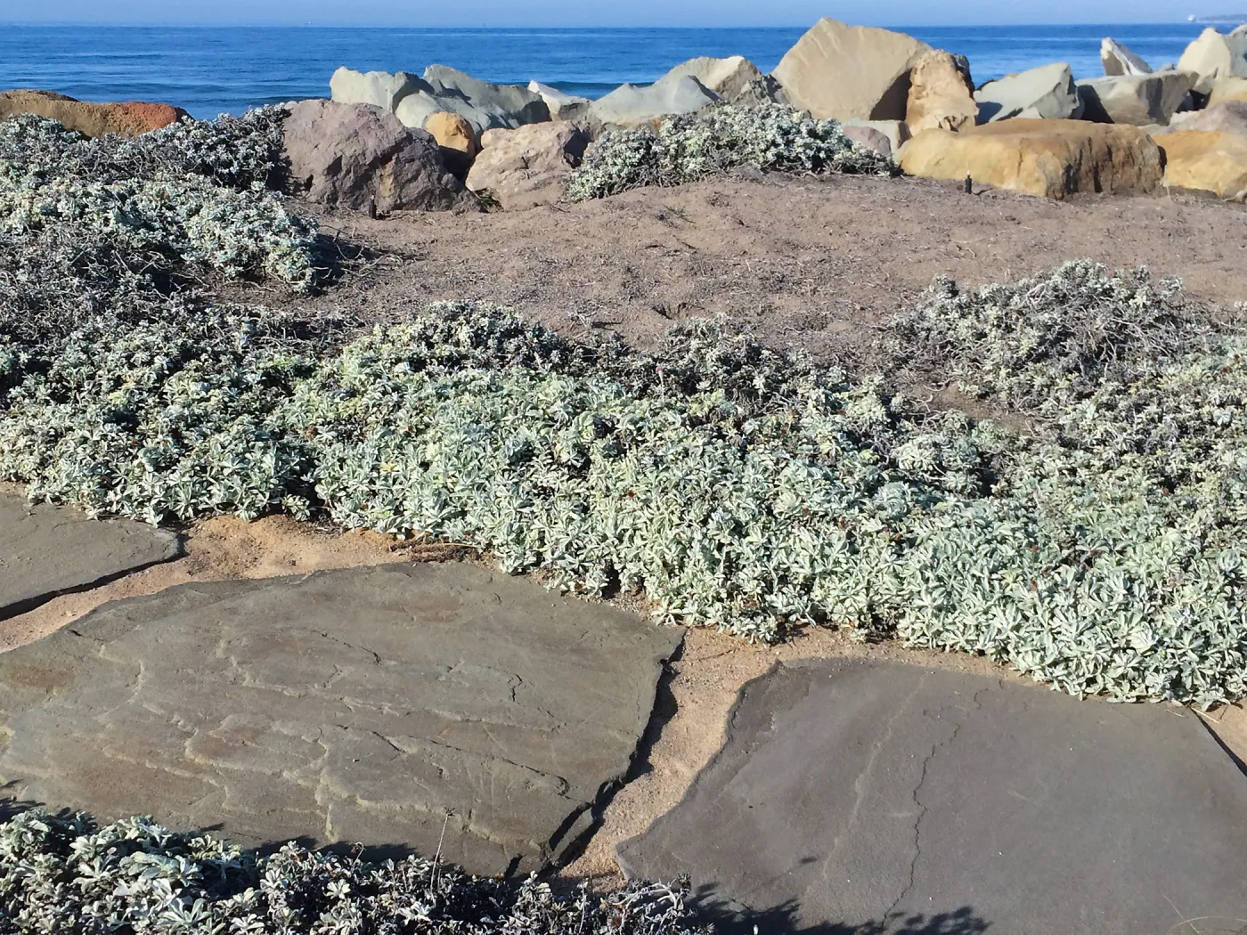 Touring gardens with Isabelle Greene, Sand Point Road, Carpenteria