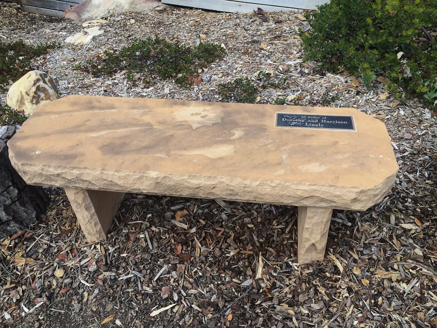 Lingle bench in Manzanita section