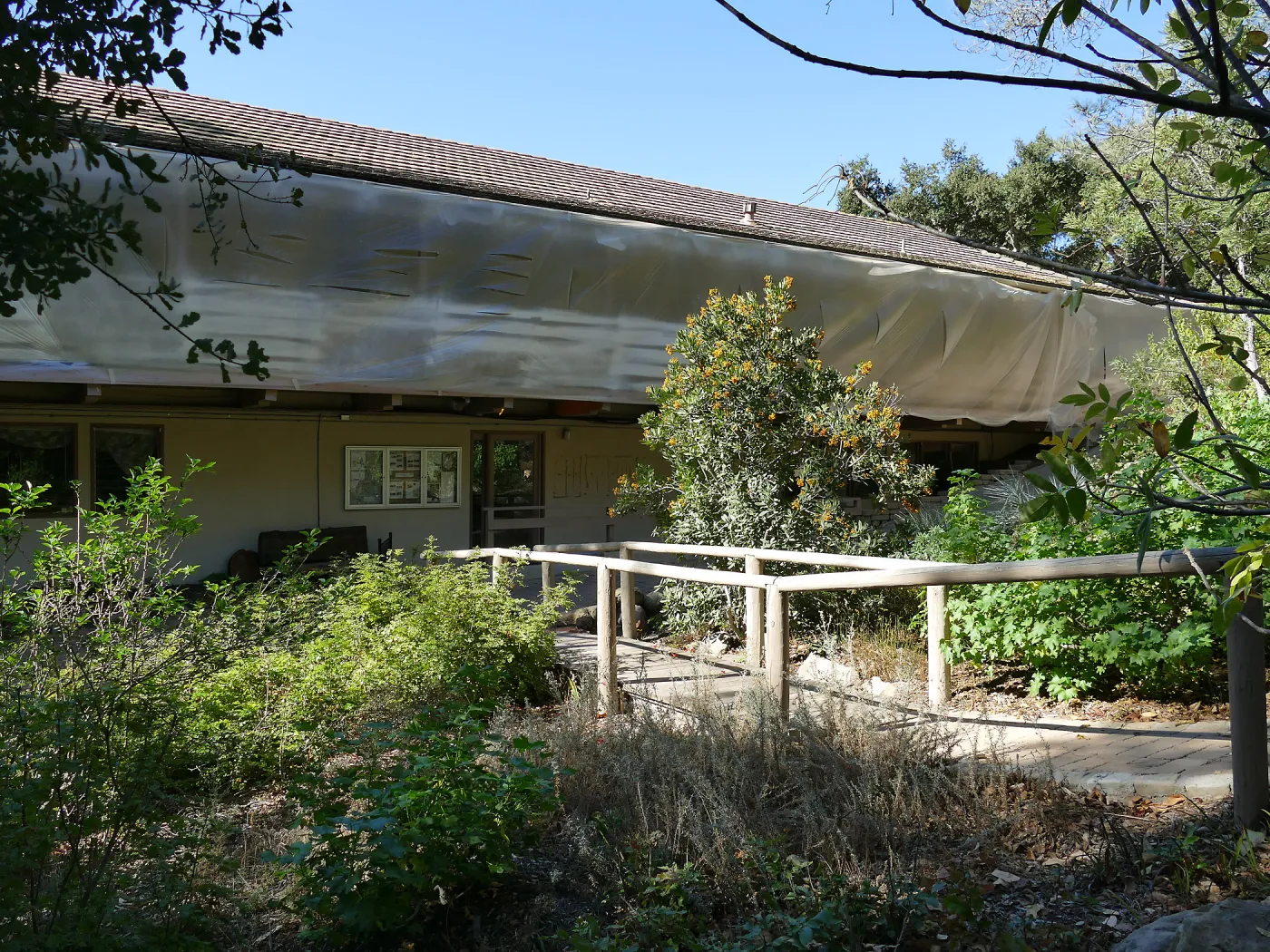 North Wing repainting