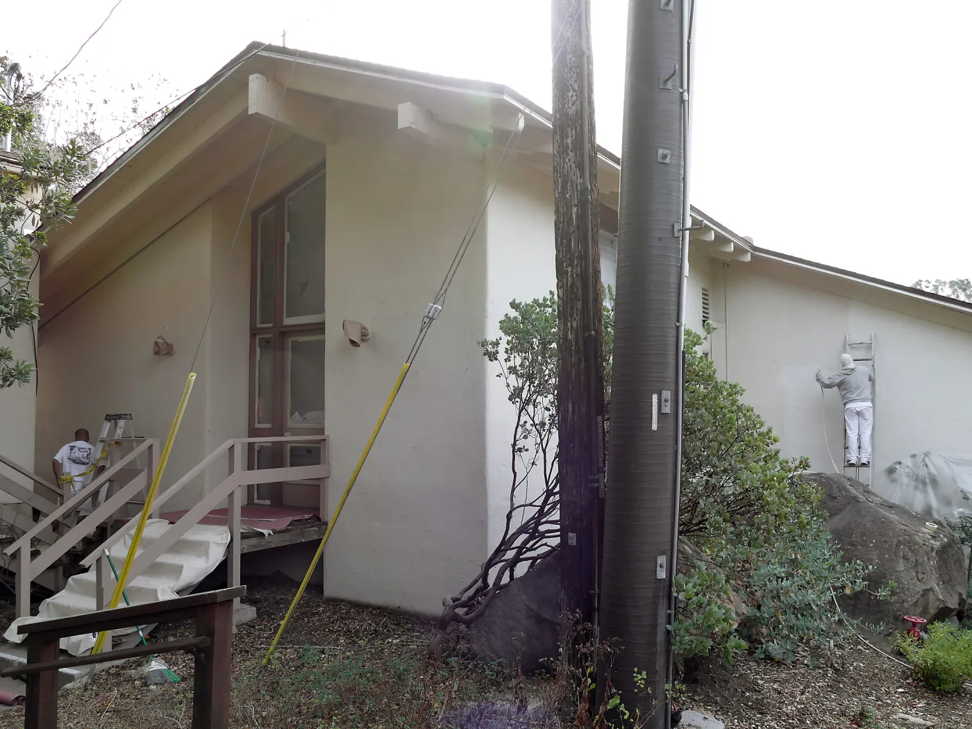 Old Herbarium, now Education Center, repainting