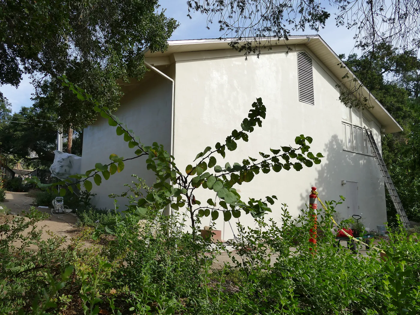 Old Herbarium, now Education Center, repainting
